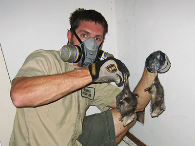 Port Saint Lucie dead animal